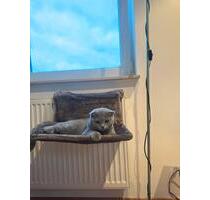 Miet wohnung - 780,00&nbsp;EUR Kaltmiete, ca.&nbsp; 38,00&nbsp;m&sup2; in Hamburg (PLZ: 22459) Eimsbüttel