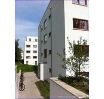 Großzügiges und helles 1 Zimmer Apartment in Uninähe - frei ab sofort - Dresden Prohlis
