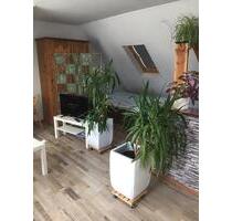 Voll möbliertes Apartment mit Balkon - Hamburg Billstedt