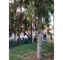 Maisonetten Wohnung - 750,00 EUR Kaltmiete, in Wolfenbüttel (PLZ: 38300)