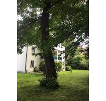 Ruhig gelegene 3 Zimmer Wohnung mit Terrasse in Bad Reichenhall