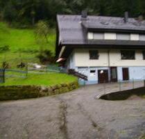 4 Zi.- Wohnung im Renchtal - 1.050,00 EUR Kaltmiete, in Bad Peterstal-Griesbach (PLZ: 77740)