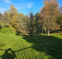 4000m2 Gartenland in Zwickau ideal für Pferde, Bienen, Kleintiere - Leipzig