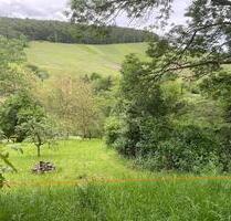 → Obstwiese zu verpachten ✔ Imker geeignet ✔ bei Weinstadt ✔