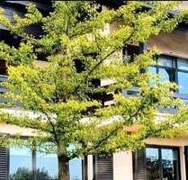 Wohnung mit Terrasse und Einbauküche GummersbachEngelskirchen