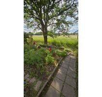 Kleingarten am Elberadweg Dresden in liebevolle Hände abzugeben