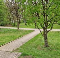 Eigentumswohnung. Provision frei - Wuppertal Gemarkung Ronsdorf