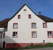 Erdgeschosswohnung ruhig gelegen - Laufenburg (Baden)