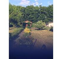 Kleingarten in hainholz ( Nähe hainhölzer Bad ) - Hannover Vahrenwald-List