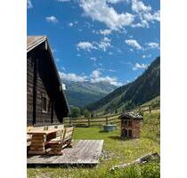 VERFÜGBAR WEGEN STORNIERUNG!! Urlaub auf der Alm nahe Zell am See - München Altstadt-Lehel