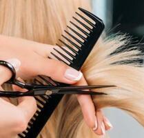 Friseurbetrieb zu verpachten - 750,00 EUR Kaltmiete, ca.  55,00 m² in Sauensiek (PLZ: 21644)