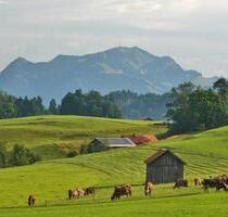 Ferienwohnung ⛰✏Frei von 19.8-31.8‍‍‍⛰5km v.Oberstdorf - Sonthofen