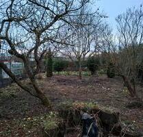 Kleingarten Schrebergarten - 2.200,00&nbsp;EUR Kaltmiete, ca.&nbsp; 0,00&nbsp;m&sup2; in Haldensleben (PLZ: 39340)
