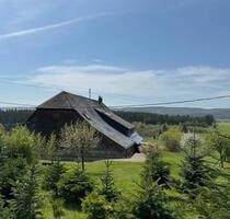 Ferienwohnung Hochschwarzwald Lenzkirch ( Kappel )