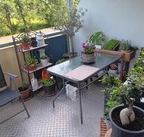 Super sonnige Zweiraumwohnung - 280,00 EUR Kaltmiete, ca.  41,00 m² in Bischofswerda (PLZ: 01877)