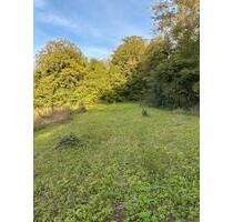 FreizeitgrundstückGartengrundstück in Reichental zu verpachten. - Gernsbach