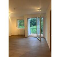 Kernsanierte 2-Zi.-Whg. mit Südbalkon & TG in Wiesenfelden