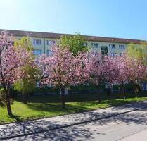 Dachgeschosswohnung zum Wohlfühlen - Limbach-Oberfrohna