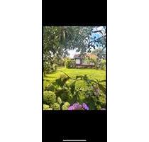 Kleingarten - 4.500,00 EUR Kaltmiete, ca.  0,00 m² in Braunschweig (PLZ: 38120) Timmerlah-Geitelde-Stiddien