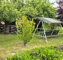 Kleingarten - 600,00 EUR Kaltmiete, ca.  0,00 m² in Glauchau (PLZ: 08371)