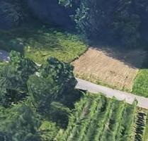 Wiese in Grunbach zu verpachten - Remshalden