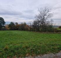 Grundstück Wiese Acker Feld in Keltern Weiler 10,42 ar 1042m²