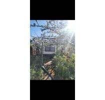 Garten zu abzugeben - 550,00 EUR Kaltmiete, ca.  0,00 m² in Bad Lauchstädt (PLZ: 06246)