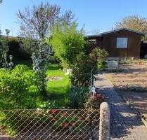 Schrebergarten am Stadtwald in Altenburg