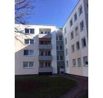 Sanierte und familienfreundliche 3 Timmer-Wohnung mit Balkon Freifinanziet - Bielefeld Heepen