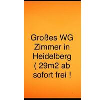 WG-Zimmer (29 m²) in Heidelberg ab sofort frei!
