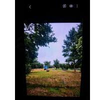 Immobilien - 95.000,00 EUR Kaufpreis, in Werther (PLZ: 99735)