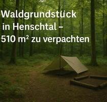 Waldgrundstück in Henschtal für Naturfreunde, Bushcrafter etc - Herschweiler-Pettersheim