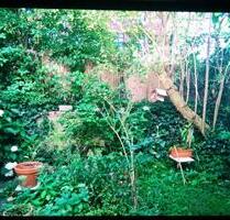 Kleines WG-Zimmer (opt. ganze Whg.) mit Garten nähe Osterstr. - Hamburg Sternschanze