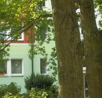 Alles im Blick! Attraktive Starter-oder Zweitwohnung Nähe Klinikum - Chemnitz Altendorf