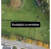 Hundeplatz zu vermieten - 16,00&nbsp;EUR Kaltmiete, ca.&nbsp; 0,00&nbsp;m&sup2; in Mönchengladbach (PLZ: 41189) West