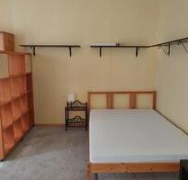 Möblierte 1-Zimmer-Wohnung in Landau - ab sofort! (All inklusive) - Idar-Oberstein