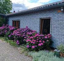 55qm Wohnung ab sofort Hilbeck - 515,00 EUR Kaltmiete, in Werl (PLZ: 59457)
