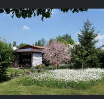 Gartengrundstück in Altheim Alb – 1.713 m² mit Hütte Tinyhouse - Herbrechtingen