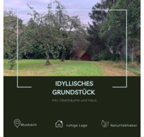 GrundstückWochenendgrundstück - 415,00 EUR Kaltmiete, ca.  0,00 m² in Freudenstadt (PLZ: 72250)
