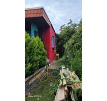 Garten in MD Neustadt abzugeben - Magdeburg Alte Neustadt
