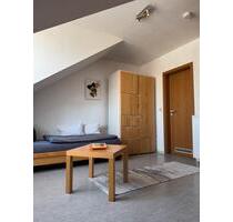Modernes 1 Zimmer Apartment für 1 Person Nichtraucher - Ludwigshafen am Rhein Edigheim