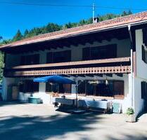 Almabtrieb im Allgäu in Oberstaufen