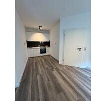 Moderne helle neu renovierte Wohnung mit EBKüche in Bad Ems