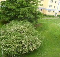 Vermiete WG Zimmer ca. 13 qm möbiliert - Leipzig Ost