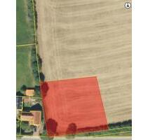 Bauerwartungsland in Hof mit 1.951 m² - angrenzend an Wohnbebauung