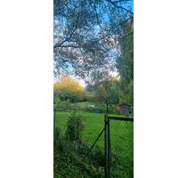Schrebergarten - 5.500,00 EUR Kaltmiete, ca.  0,00 m² in Oberthulba (PLZ: 97723)