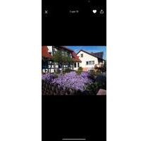 Haus zum vermieten in Winden - 1.600,00 EUR Kaltmiete, in Bad Bergzabern (PLZ: 76887)