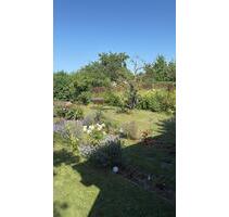 Gartenanlage „Oslo“ Garten abzugeben - Elmenhorst/Lichtenhagen