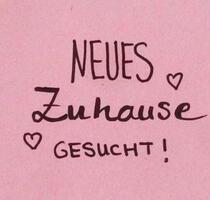 Mietwohnung - 1.700,00 EUR Kaltmiete, in Berlin (PLZ: 12099) Tempelhof-Schöneberg