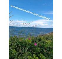 last minute an Schlei und Ostsee 10-23.8.25 - Kappeln